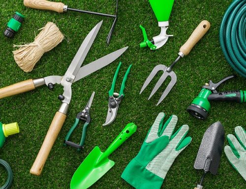 Retirement Life: Turning Hobbies into Passions